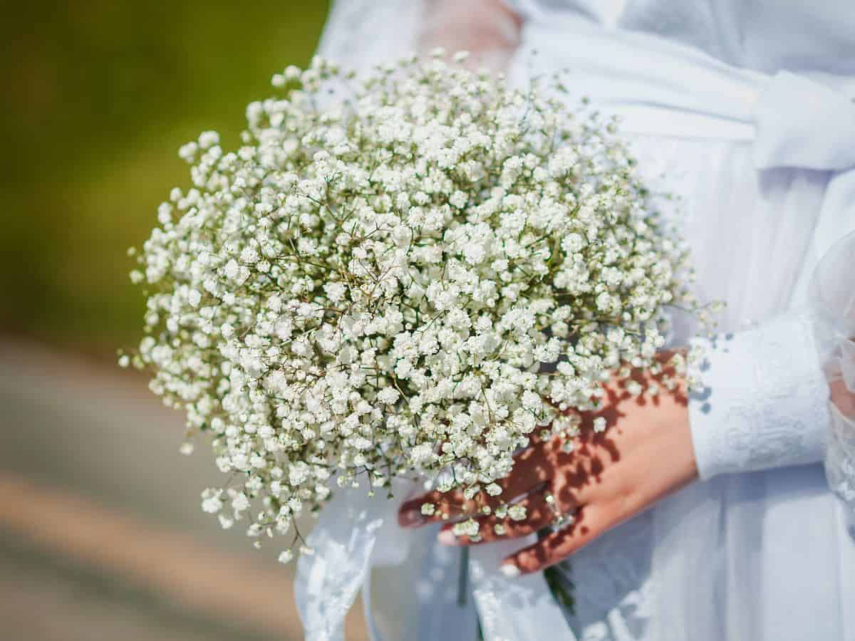 Baby's Breath bouquet held by bride on wedding day