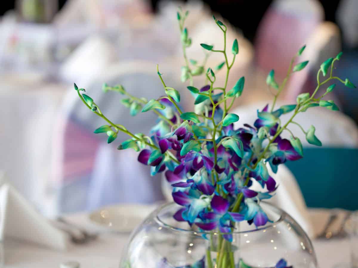 Wedding table decorated with purple and blue orchids